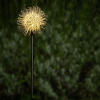 Lampka solarna DANDELION kula led